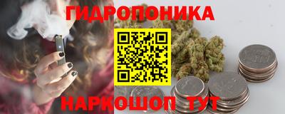стафф Гудермес