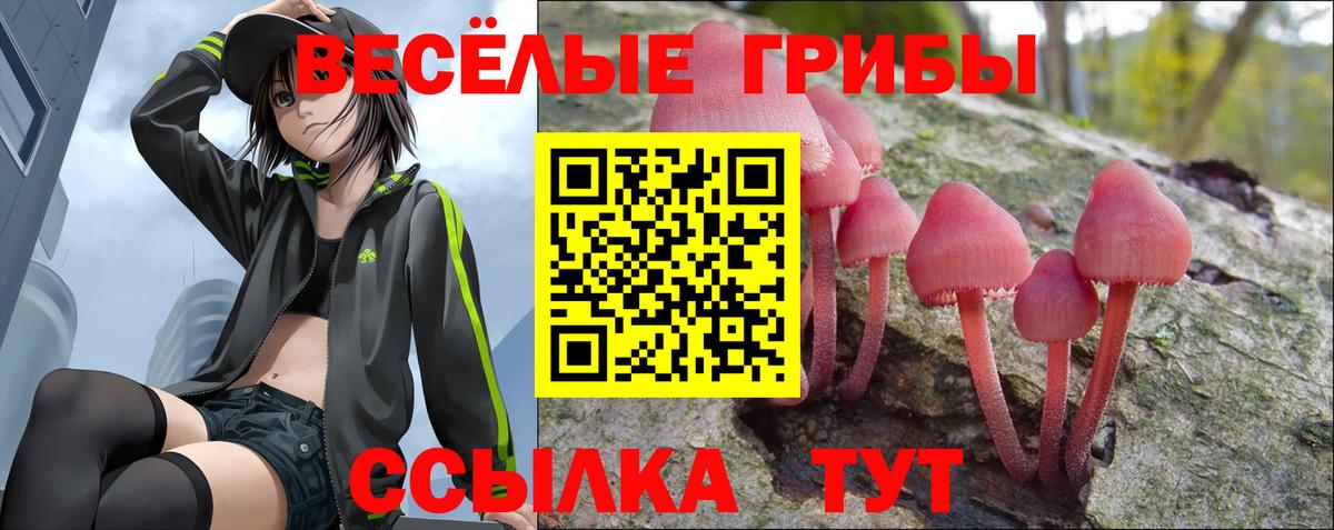 Галлюциногенные грибы Magic Shrooms  Вход с VPN  Елизово 
