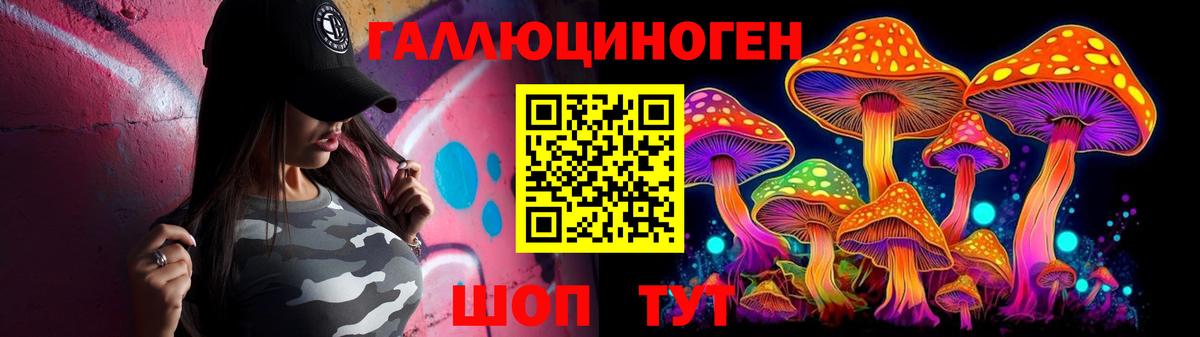 Галлюциногенные грибы Psilocybine cubensis Елизово